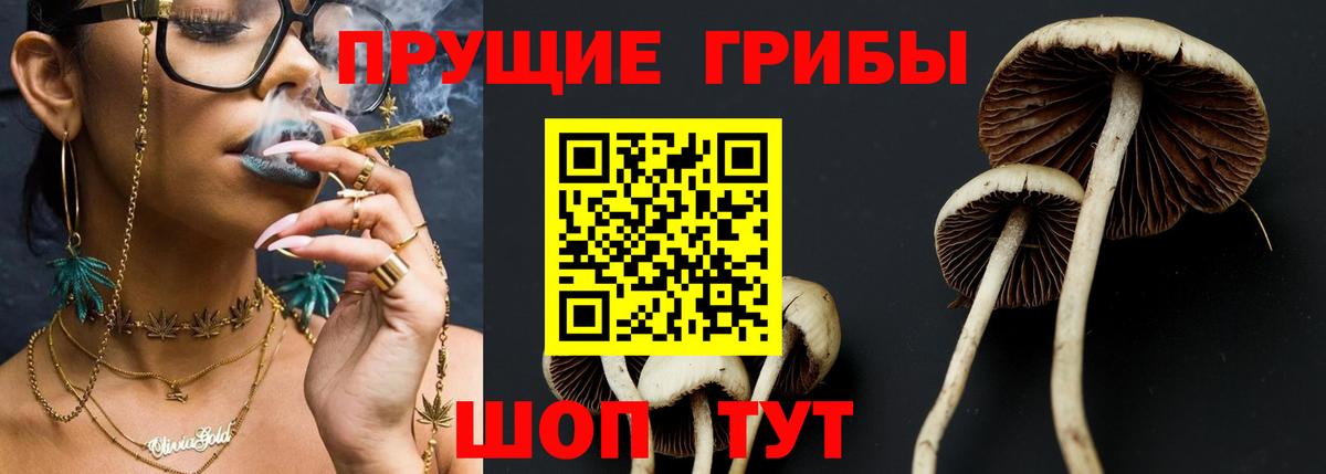 Галлюциногенные грибы Magic Shrooms  Вход с VPN  Дубна 